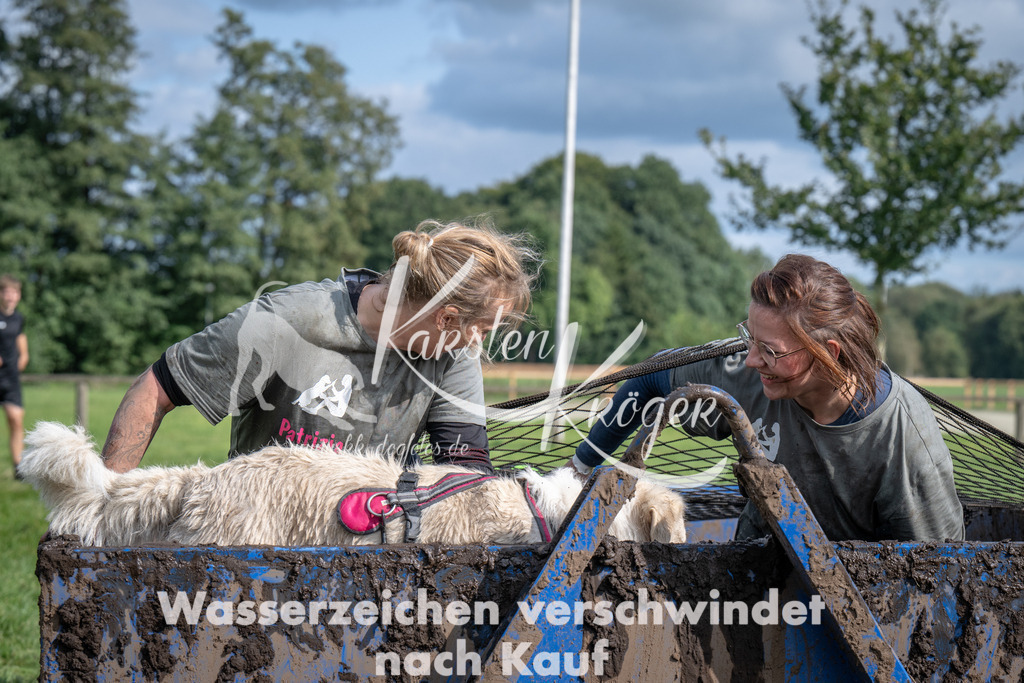 1447_ZZ93604 | kk-dogfotos