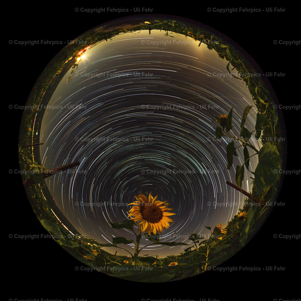 Und sie dreht sich doch ... | Sternen-Strichspuren durch die Gesamtbelichtungszeit von über 2 Stunden bedingt durch die Erdrotation um eine Sonnenblume im Weinberg - Realisiert mit Pictrs.com