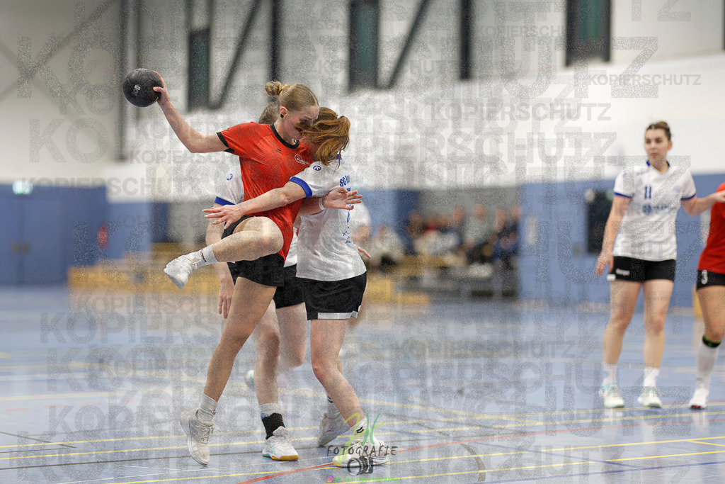 Frauen 2. Bezirksklasse; SG Rechtenbach - HSG Linden II | Frauen 2. Bezirksklasse; SG Rechtenbach - HSG Linden II am 16.11.2025 in Rechtenbach (Sporthalle Rechtenbach)Photo © 2025 - Jörg Heinrich - Realisiert mit Pictrs.com