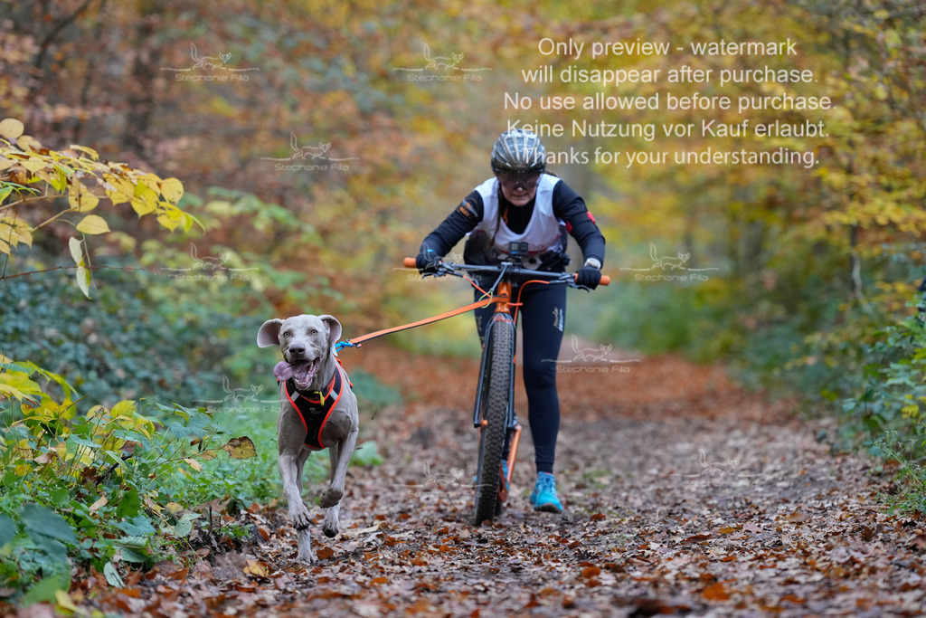 Scooter_So-26 | stephaniefillaphotographie - Realisiert mit Pictrs.com