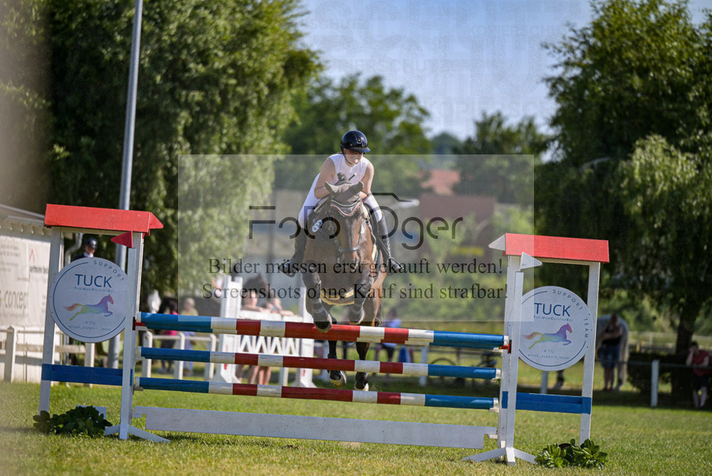 Reitturnier Voxtrup | Entdecke hochwertige Reitturnierfotos von Foto Oger. Professionell, emotional und authentisch – jetzt Lieblingsmomente im Shop bestellen. - Realisiert mit Pictrs.com
