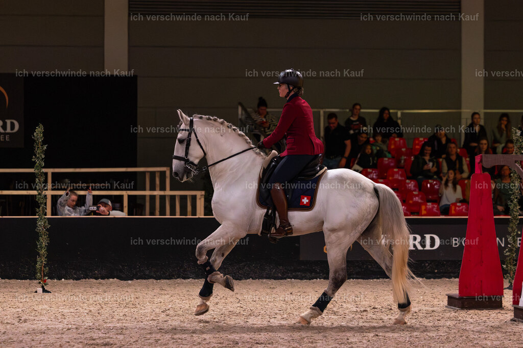 JoseraCup-91 | working equitationturnier fotograf videograf stoibphotography marixx film working equitation deutschland reitsport turnierfotografie eventfotografie equestrian events