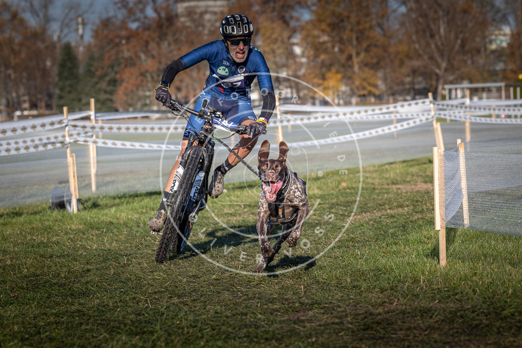 CaniXpix_0L8A4286 | Hundefotografie, Tierfotograf, Pfotenfotografie, Fotoshooting Hund, Hunde Portrait, Hundesport, Hundeportraits, Heideshooting, Hunde, Sportfotograf, Hundefotograf, Turnierhundsport, THS,  - Realisiert mit Pictrs.com