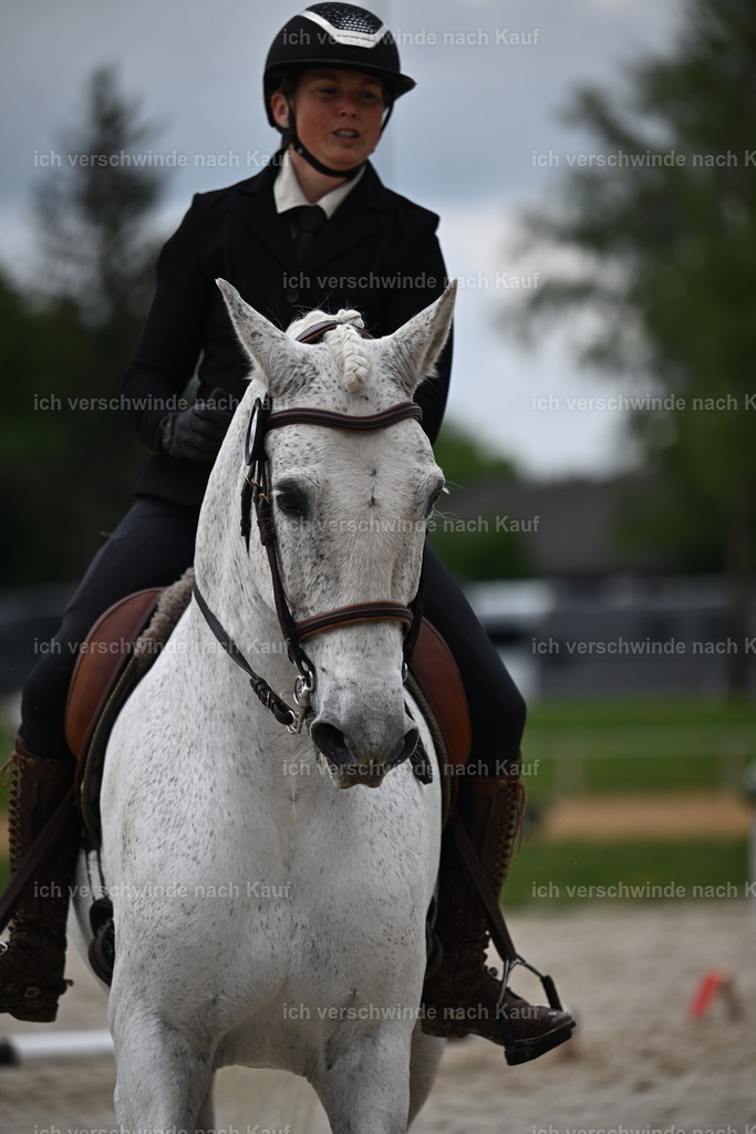 PI26_SP_Sara_Landvogt_226_4600.JPG | working equitationturnier fotograf videograf stoibphotography marixx film working equitation deutschland reitsport turnierfotografie eventfotografie equestrian events