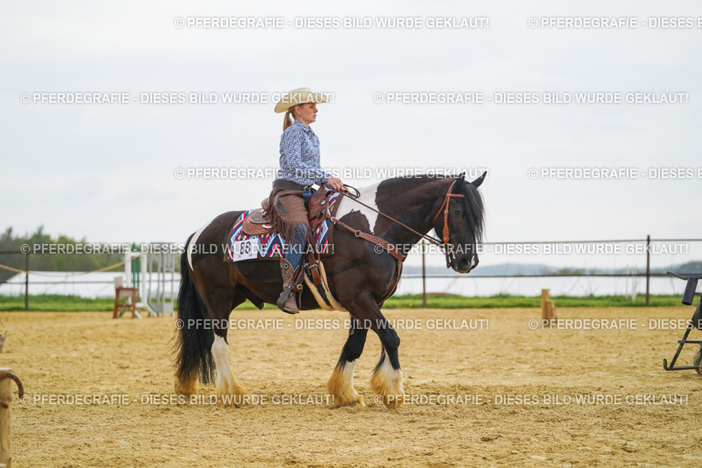 DSC08046 | Pferdegrafie