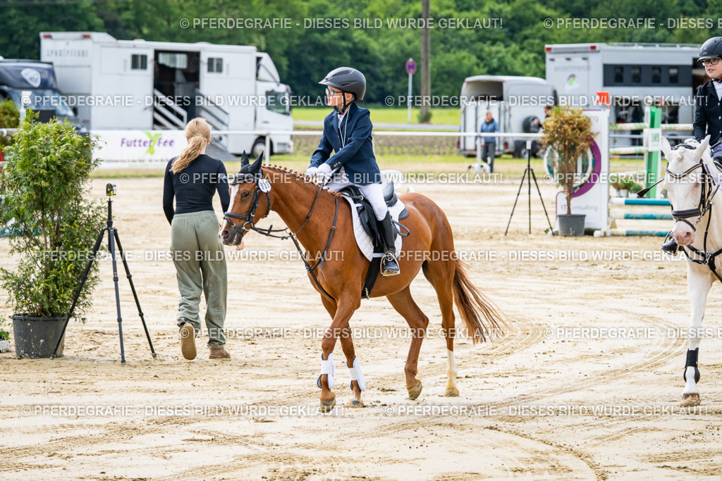 DSC06573 | Pferdegrafie