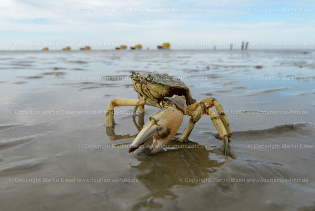 Cuxhaven_ELS_4126260716 | Fotos aus den Touristenorten aus Norddeutschland. - Realisiert mit Pictrs.com