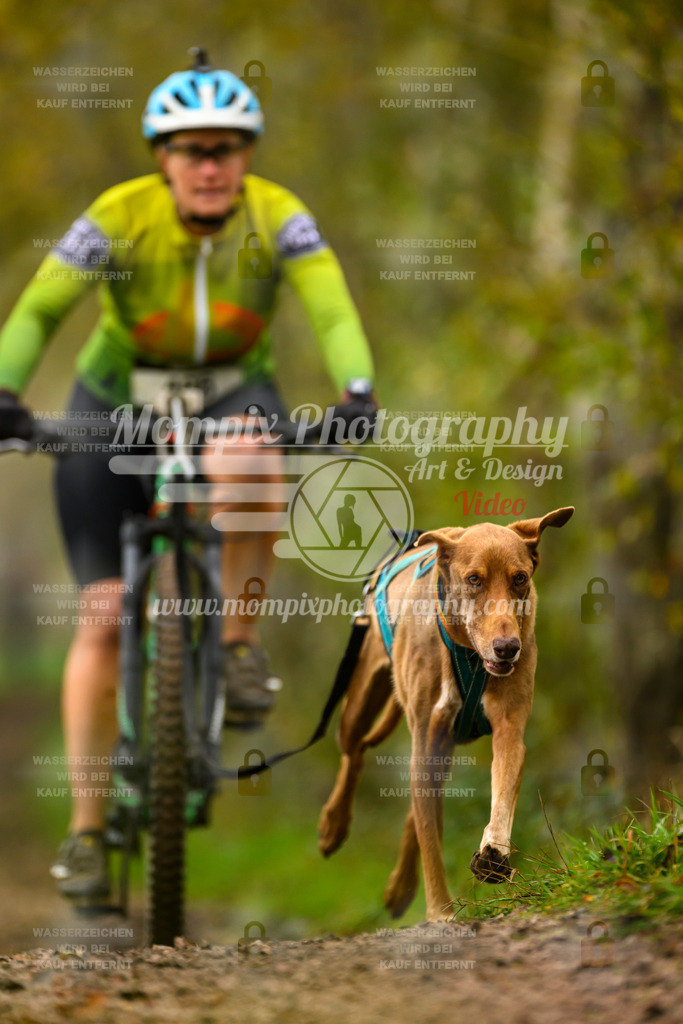 MompixPhotography_20TSB_E6_Bike-160 | PayLife