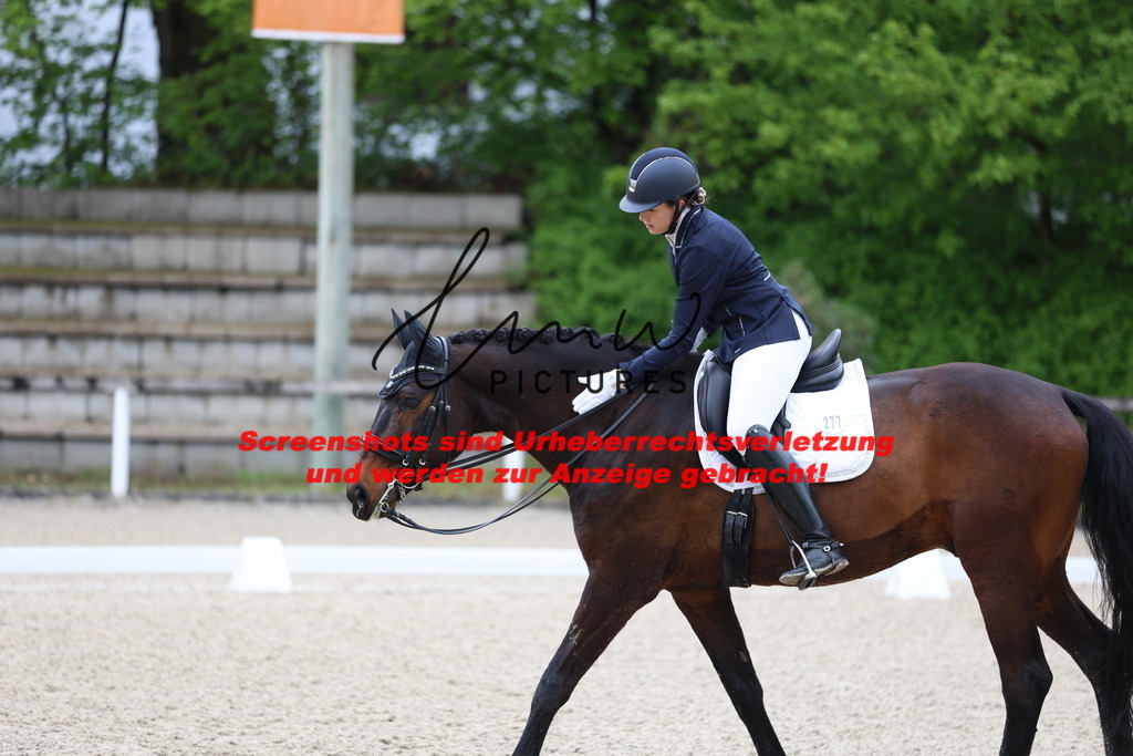 A40A0801 | lmwpictures - Realisiert mit Pictrs.com