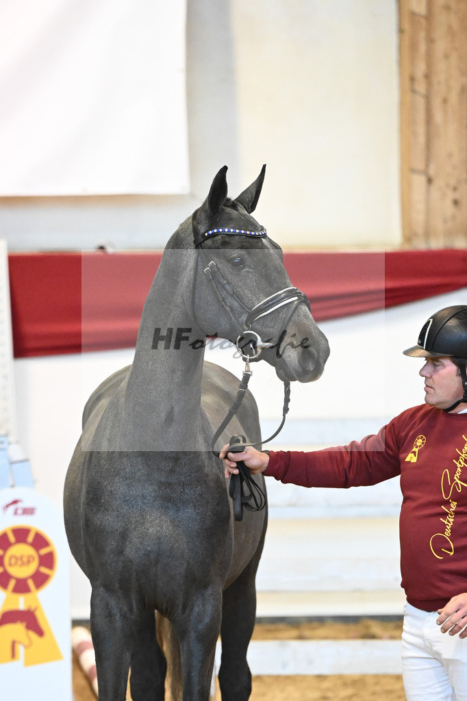 Kat-Nr. 13 Chin Chin x Landprinz_Rudolph_43231306 | hf-fotografie - Realisiert mit Pictrs.com
