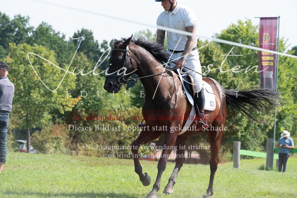 DSC_0782 | Pferde- und Turnierfotografie in Westsachsen. Pferdeportraits, Auftragszeichnungen und intuitive Kunst.