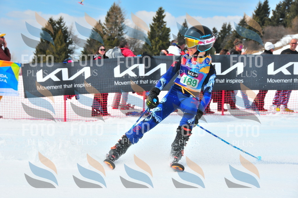 DSC_1741 | holidayphoto