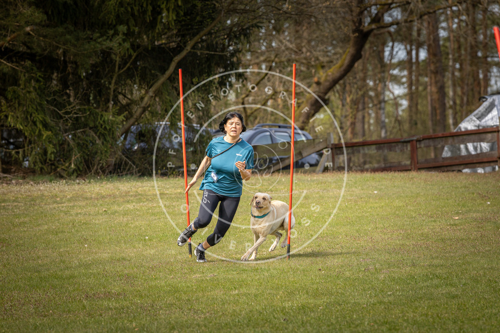 Pfotenfotografie_DV3A7259 | Hundefotografie, Tierfotograf, Pfotenfotografie, Fotoshooting Hund, Hunde Portrait, Hundesport, Hundeportraits, Heideshooting, Hunde, Sportfotograf, Hundefotograf, Turnierhundsport, THS,  - Realisiert mit Pictrs.com