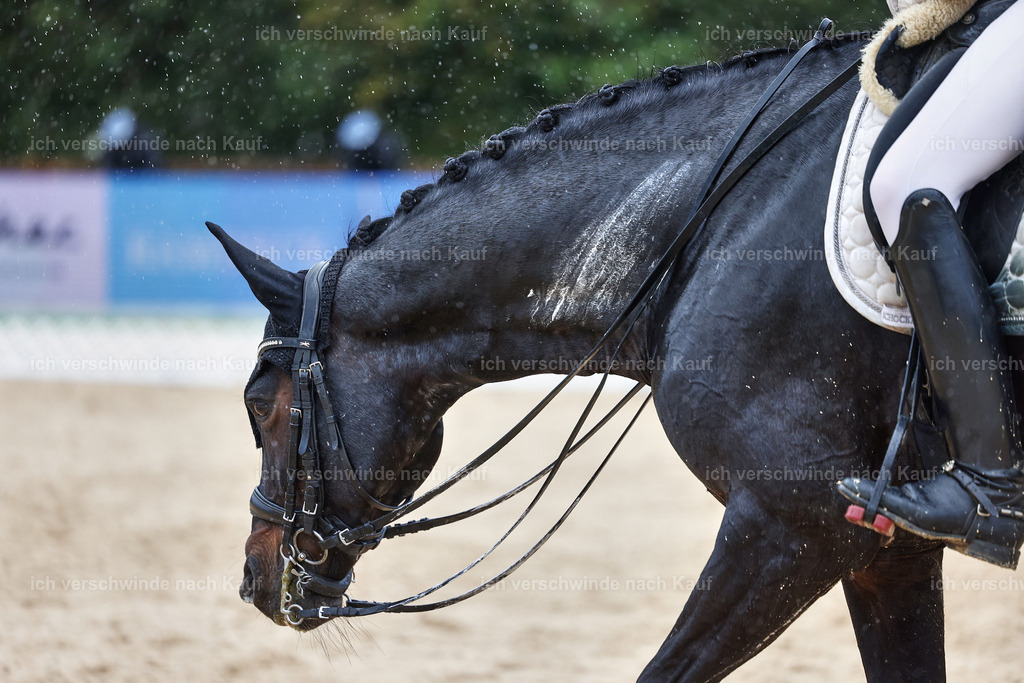 8_1-027-Klasse S_  -StoibPH-4023 | working equitationturnier fotograf videograf stoibphotography marixx film working equitation deutschland reitsport turnierfotografie eventfotografie equestrian events