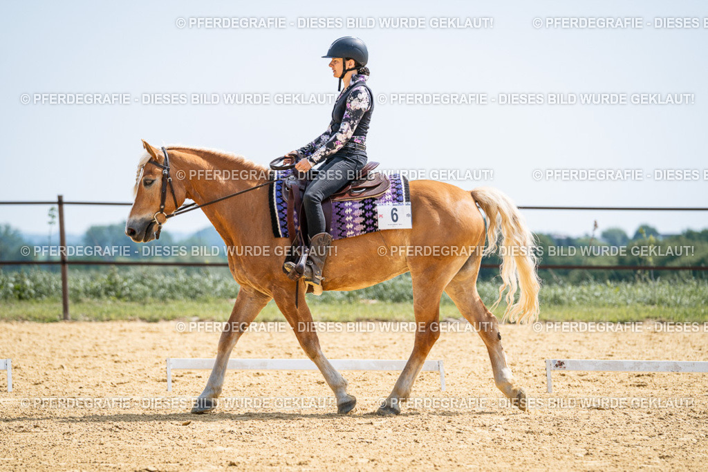 DSC00157 | Pferdegrafie