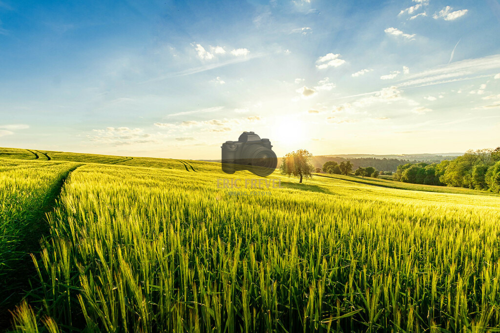 _MG_0297-HDR | Photography by Eric Frevel - Realisiert mit Pictrs.com