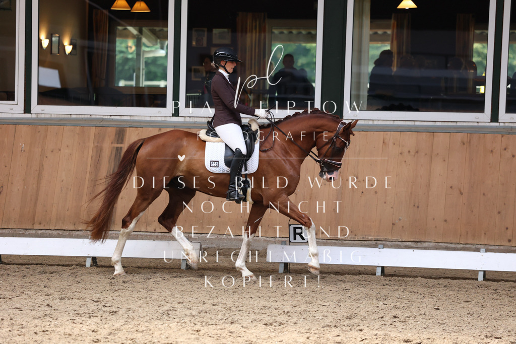 IMGM8528 | pl-fotografie