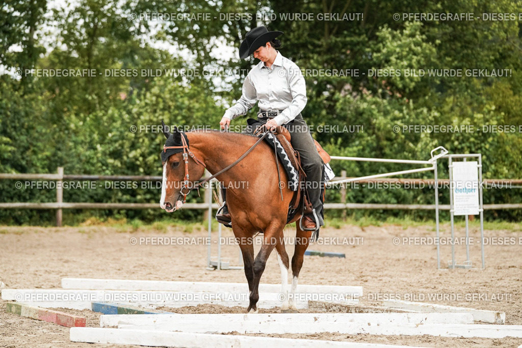 DSC08489 | Pferdegrafie