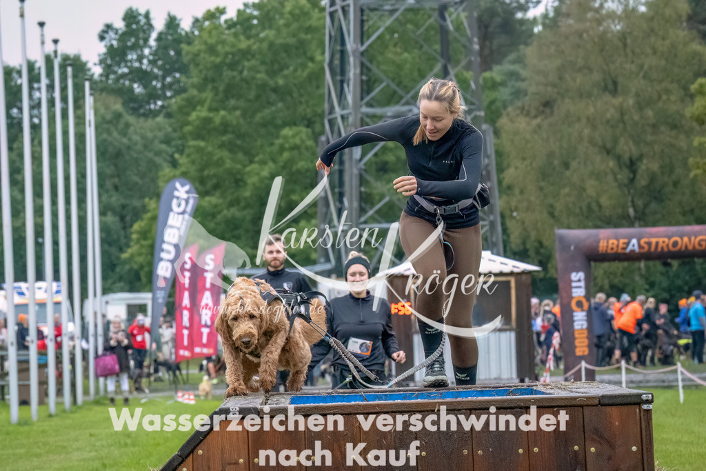 1206--3 | kk-dogfotos