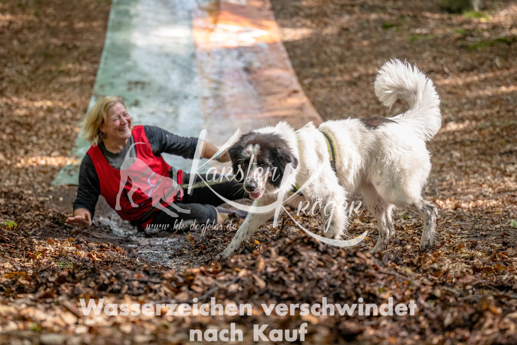 1226_ZZ90140-Bearbeitet | kk-dogfotos