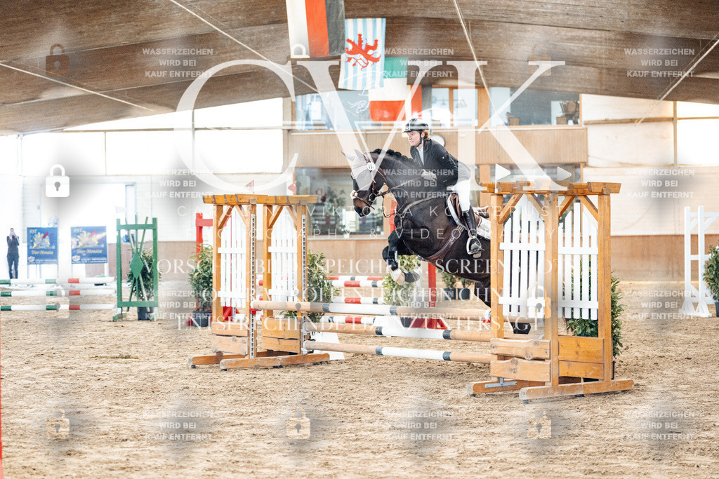 CK903870 | Turnierfotografie Pferdefotografie Trier Rheinland-Pfalz Pferdesport Reitsport Tierfotografie Sportfotografie Pferdevideo Pferdevideografie Equestrianvideography equestrianphotography  - Realisiert mit Pictrs.com