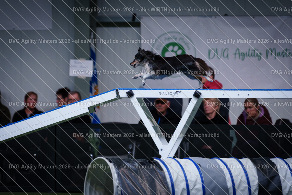 allesWIRTHgut_Tierfotografie-DVG_Agility_Masters_2026-13_47-7R503969 | Professionelle Tierfotografie in Mönchengladbach von Daniel Wirth (allesWIRTHgut). Liebevolle & natürliche Bilder von Hunden & Katzen für unvergessliche Erinnerungen.