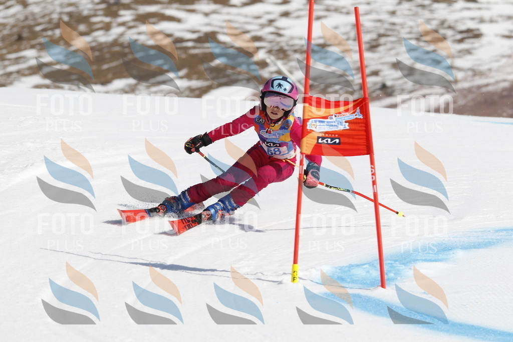 _U3G9777 | holidayphoto