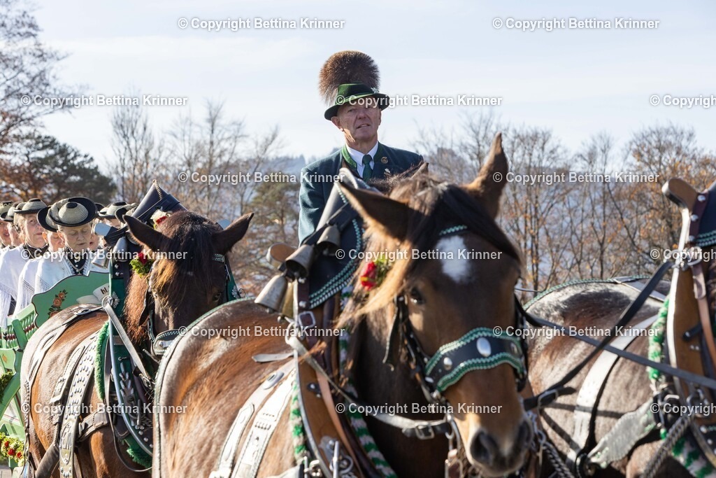 LBT24-1193 | foto-bettina-krinner - Realisiert mit Pictrs.com
