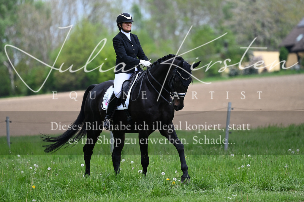 20230512_JK-Röhrsdorf-05-093 | Pferde- und Turnierfotografie in Westsachsen. Pferdeportraits, Auftragszeichnungen und intuitive Kunst.