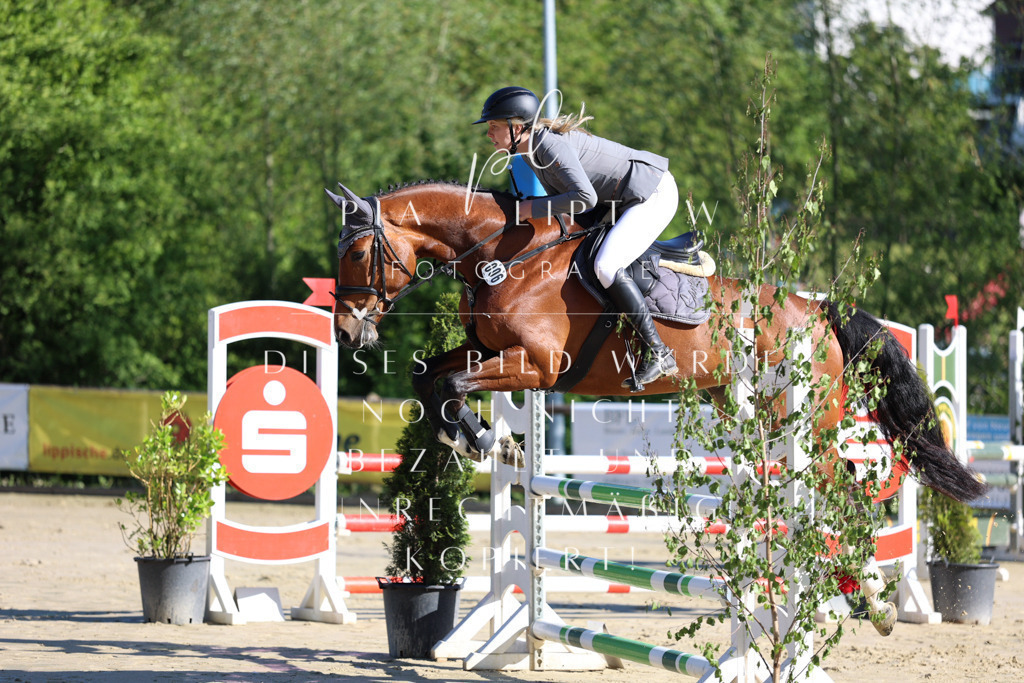 IMGS6221 | pl-fotografie