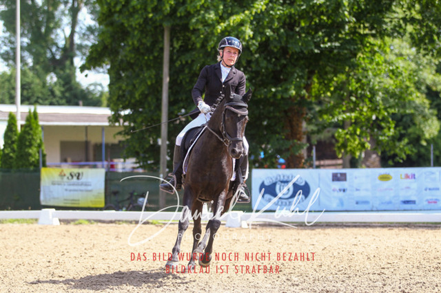 DKP42710 | Turniersportfotografie; Pferdefotografie; Dressurfotografie