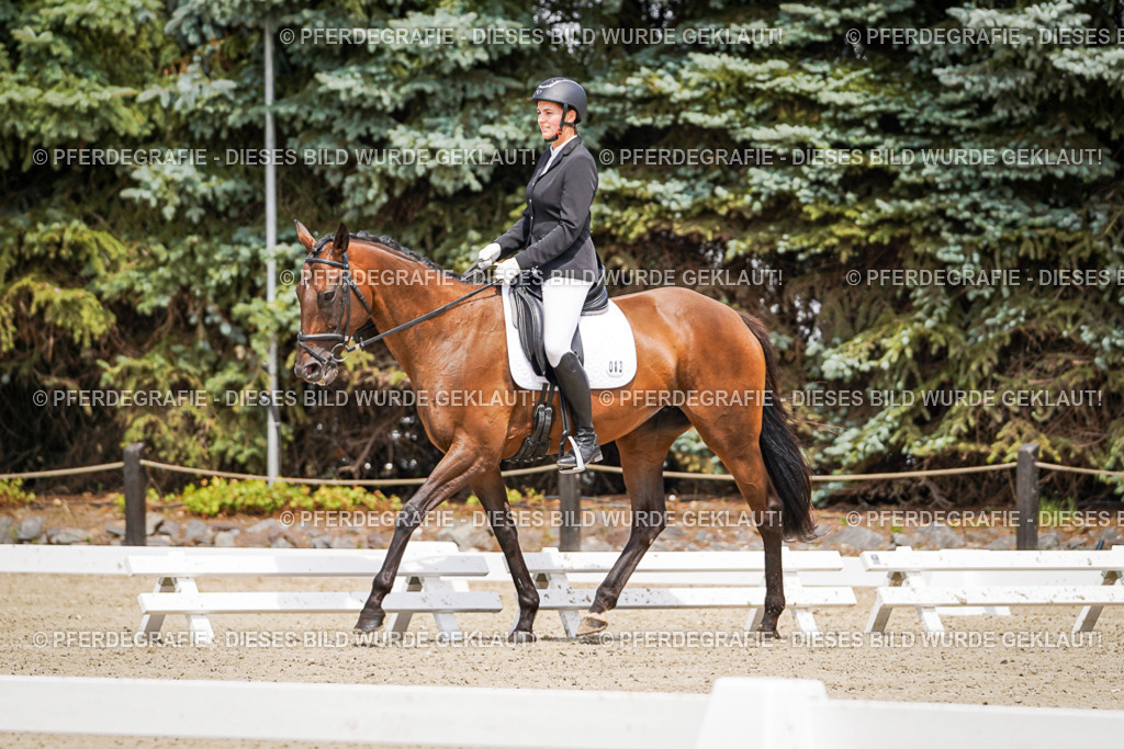 DSC01992 | Pferdegrafie