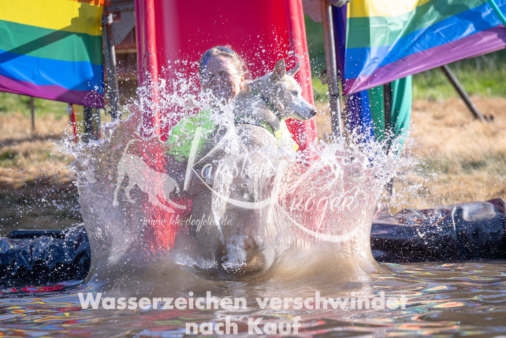 1722_ZZ90061 | kk-dogfotos