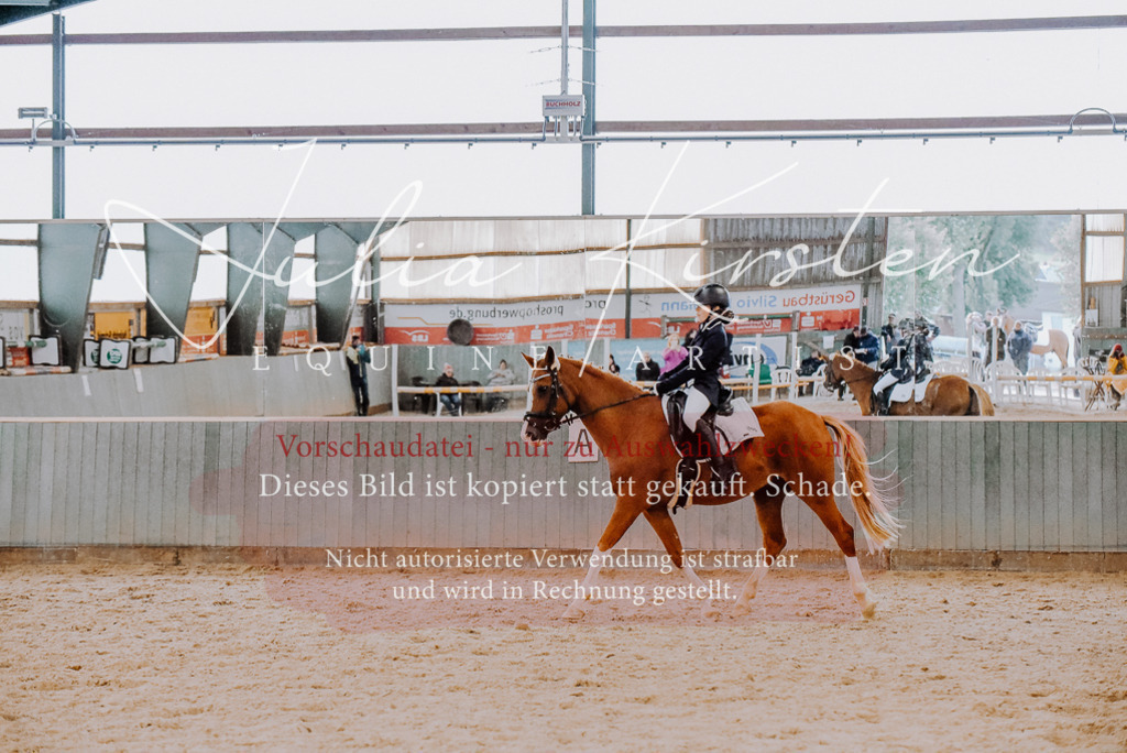 DSC_7689 | Pferde- und Turnierfotografie in Westsachsen. Pferdeportraits, Auftragszeichnungen und intuitive Kunst.