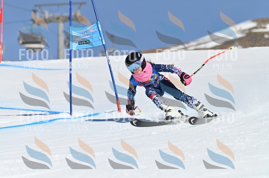 BGV_7898 | holidayphoto