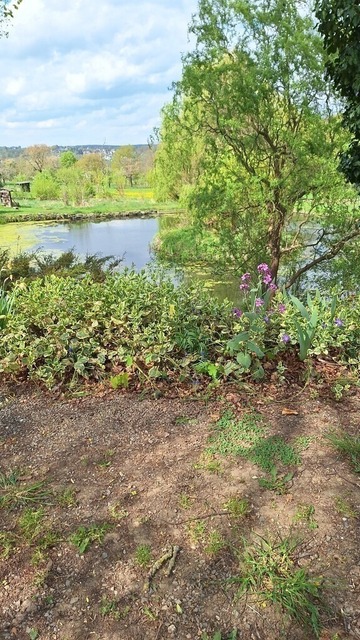 IMG-20240415-WA0002 | Verkauf von Fotos und  Videoclips zumThema Natur.Motive sind Pflanzen, Tiere, Landschaftenund Wetter - Realisiert mit Pictrs.com