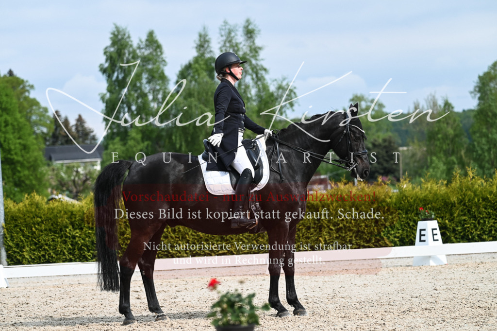 20230513_JK-Röhrsdorf-12-416-2 | Pferde- und Turnierfotografie in Westsachsen. Pferdeportraits, Auftragszeichnungen und intuitive Kunst.