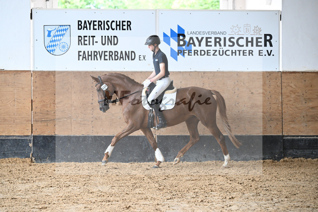 Kat-Nr. 4 Hailey v. Karim Dore_Nagel_31250077 | hf-fotografie - Realizzato con Pictrs.com