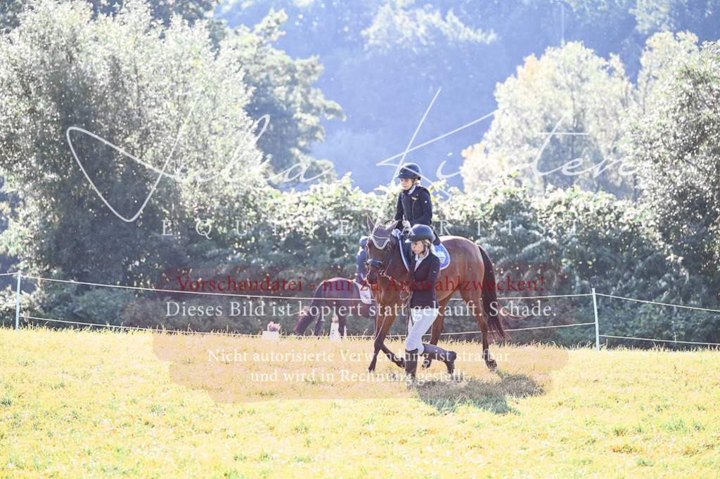 DSC_0224 | Pferde- und Turnierfotografie in Westsachsen. Pferdeportraits, Auftragszeichnungen und intuitive Kunst.