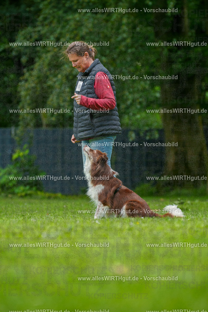 @allesWIRTHgut_Tierfotografie - www.allesWIRTHgut.de - 7R501433 | Professionelle Tierfotografie in Mönchengladbach von Daniel Wirth (allesWIRTHgut). Liebevolle & natürliche Bilder von Hunden & Katzen für unvergessliche Erinnerungen.