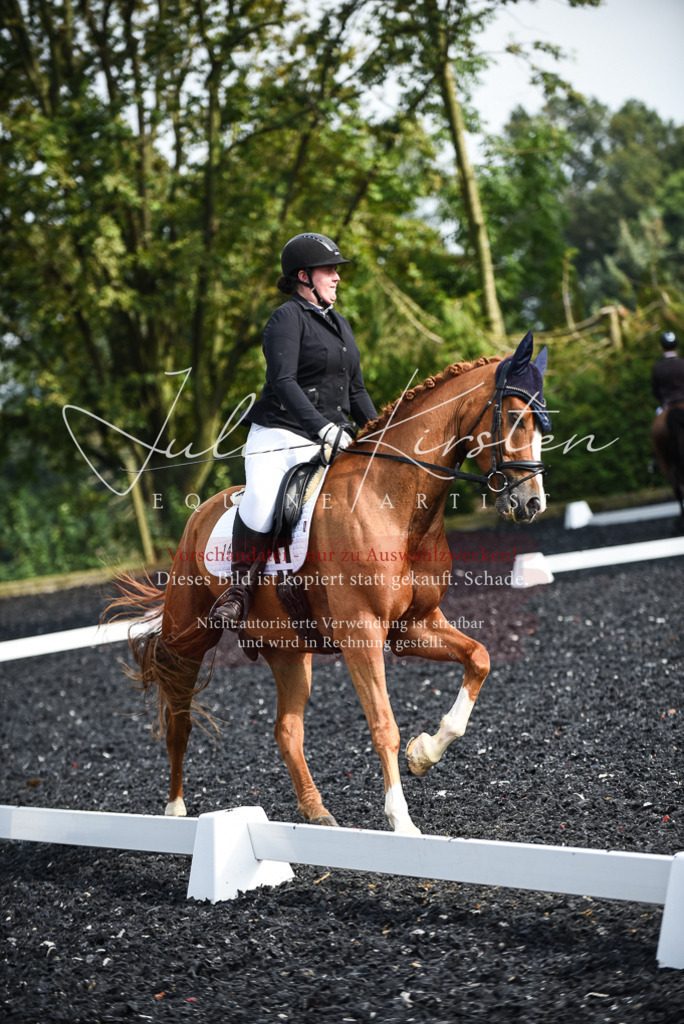 DSC_3060 | Pferde- und Turnierfotografie in Westsachsen. Pferdeportraits, Auftragszeichnungen und intuitive Kunst.