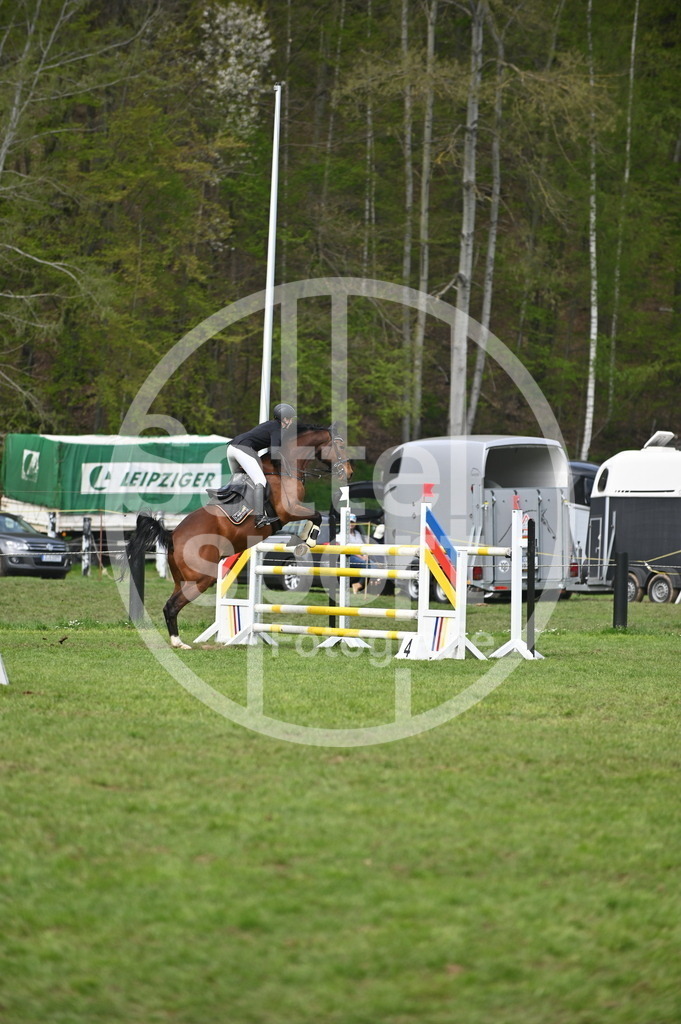 DSC_3726 | sattelsport - Realisiert mit Pictrs.com