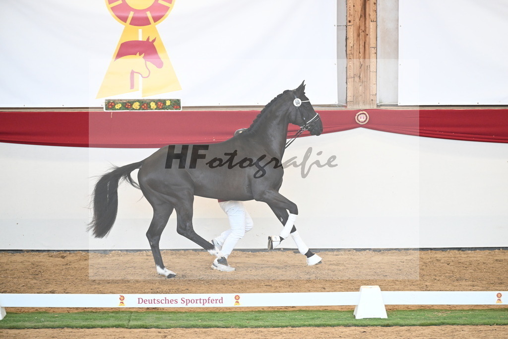 Kat.-Nr. 90 v. Vivaldos_Sosath_2250922 | hf-fotografie - Realisiert mit Pictrs.com