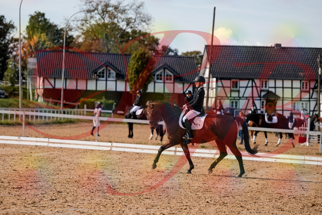 2026_10_03_Siefer-Hof_131021_Z63_72679523 | Professionelle Reitsport-, Turnier- und Eventfotografie von Robert Broda. Galerien mit ausgewählten und bearbeiteten Bildern direkt online ansehen und bestellen.