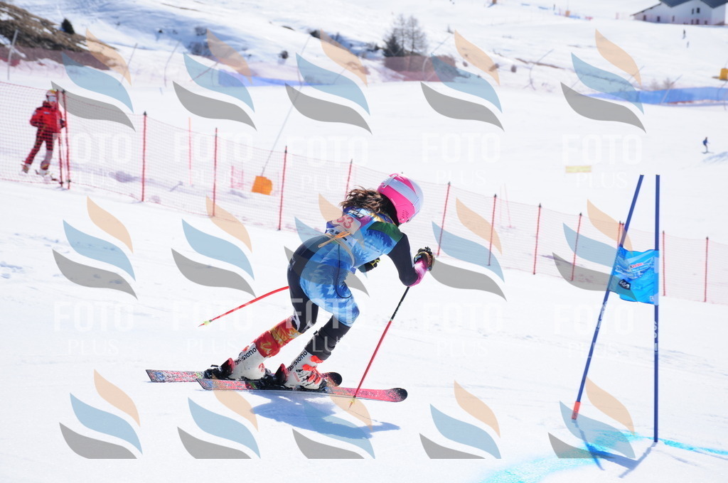 DSC_4227 | holidayphoto