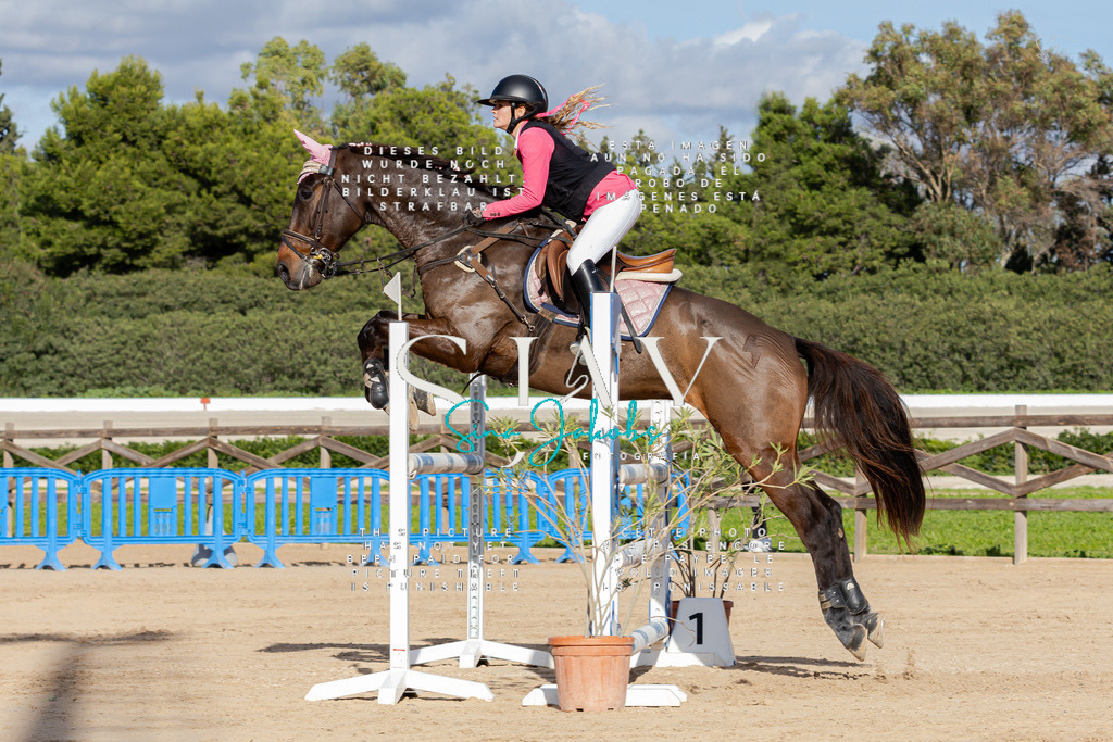 IMG_7991 | s-jay-photography - Realisiert mit Pictrs.com