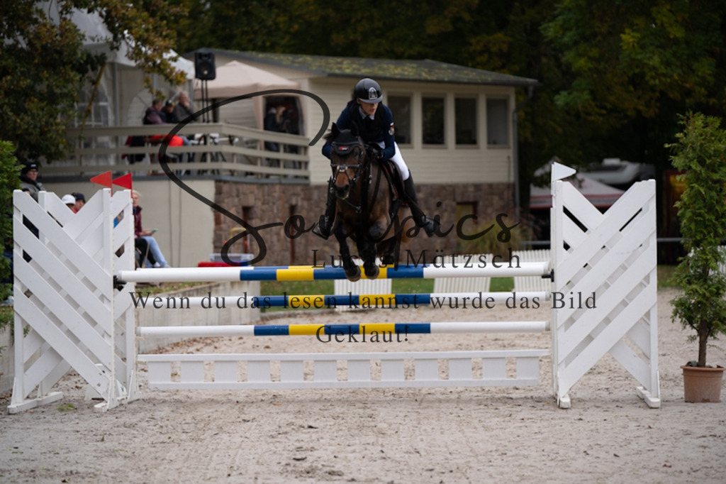 A7V09035 | Pferdefotograf