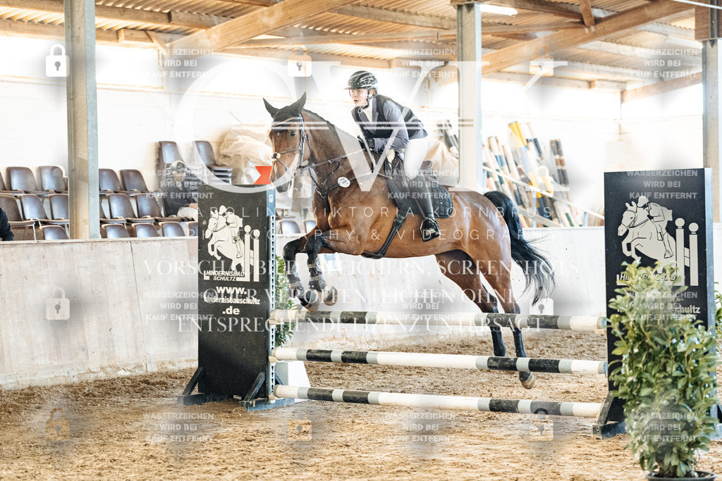 CK904639 | Turnierfotografie Pferdefotografie Trier Rheinland-Pfalz Pferdesport Reitsport Tierfotografie Sportfotografie Pferdevideo Pferdevideografie Equestrianvideography equestrianphotography  - Realisiert mit Pictrs.com