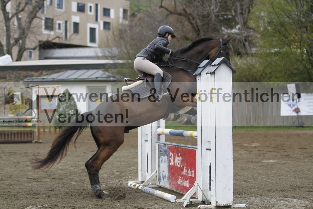 _MG_5912 | equestrian-live-com