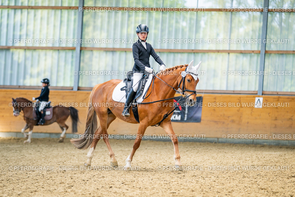 DSC03027 | Pferdegrafie